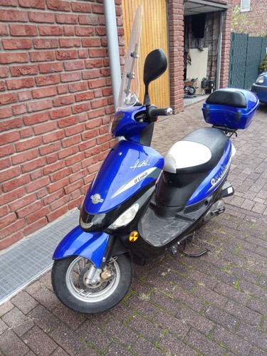 Rex 450 - rs,